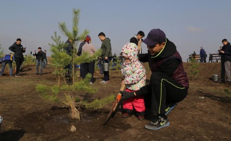 6 500 деревьев посадили в Карагандинской области