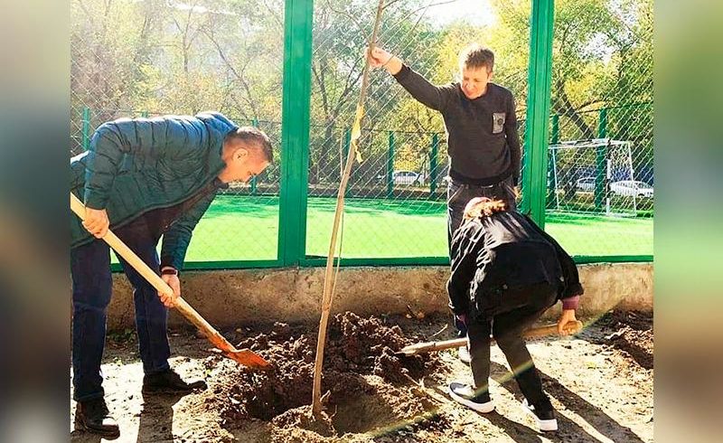 Свыше 300 тысяч зеленых насаждений высадят в Алматы в 2020 году