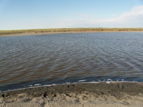 Озеро Маралды получит квоту на добычу цист рачка «Артемия салина»