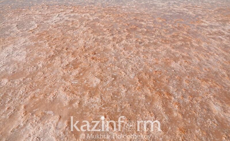 Обладает ли розовое озеро Кобейтуз лечебными свойствами