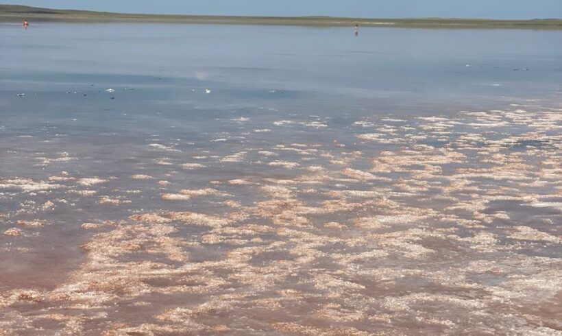Минэкологии примет меры по защите озера Кобейтуз