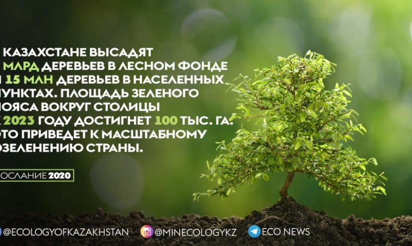 К 2030 году планируется увеличить долю лесистости с текущих 4,7% до 5% от территории Казахстана.