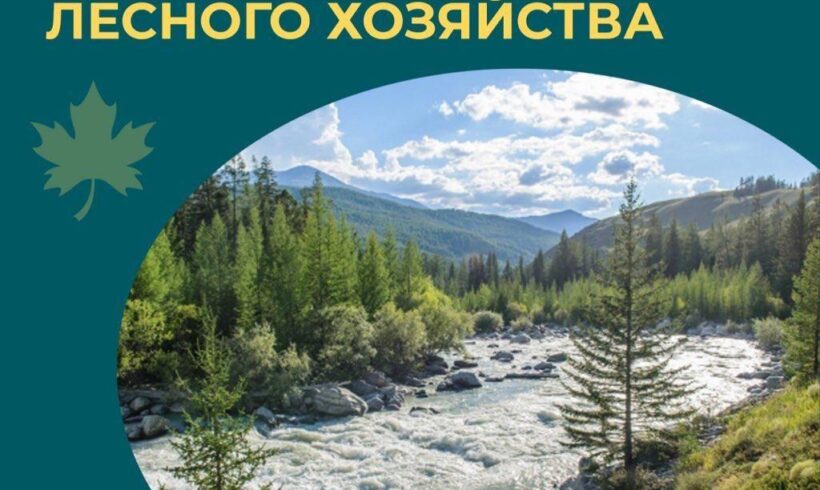 Министр экологии, геологии и природных ресурсов Казахстана Магзум Мирзагалиев поздравил работников лесного хозяйства страны с профессиональным праздником