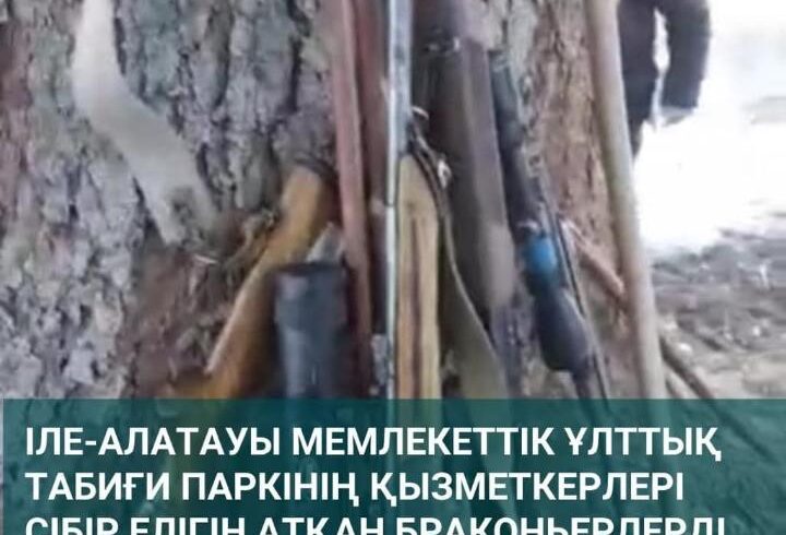Сотрудники Иле-Алатауского государственного национального природного парка задержали браконьеров, стрелявших в сибирскую косулю