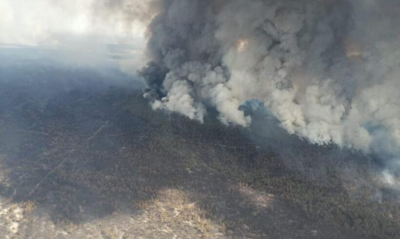Информация о пожаре в резервате «Семей орманы»