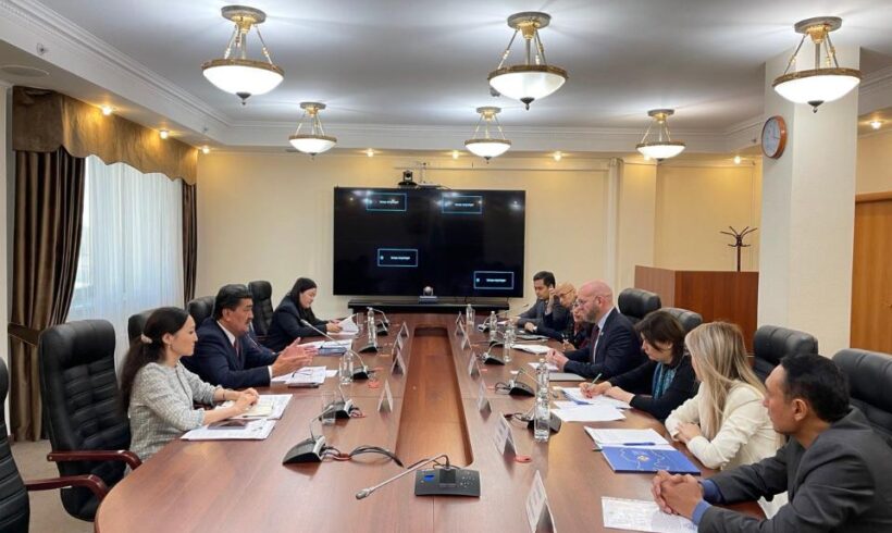 Встреча с сопредседателем Совета иностранных инвесторов при Президенте Республики Казахстан