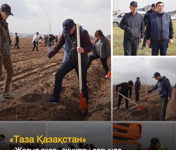 «Таза Қазақстан»: «Жасыл аула» акциясы аясында 17 мың ағаш отырғызылды «Таза Қазақстан»: «Жасыл аула» акциясы аясында 17 мың ағаш отырғызылды