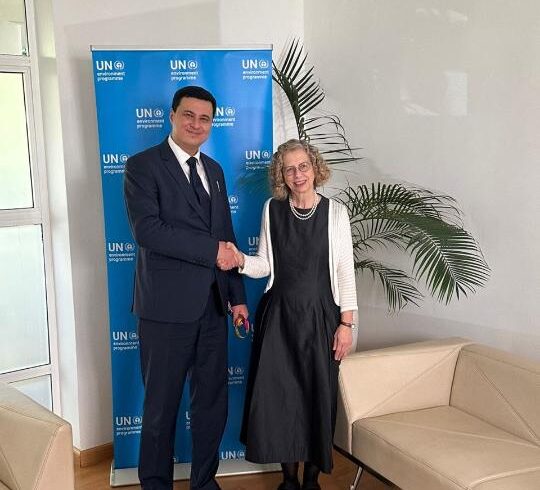 Встреча с Заместителем Генерального секретаря ООН и Исполнительным директором UNEP