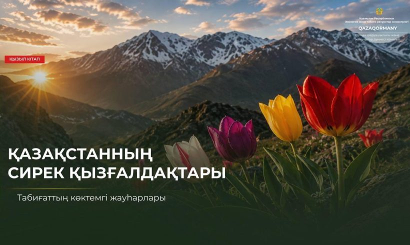 Бір тұтас гүлдің артында — бір тұтас табиғи тарих