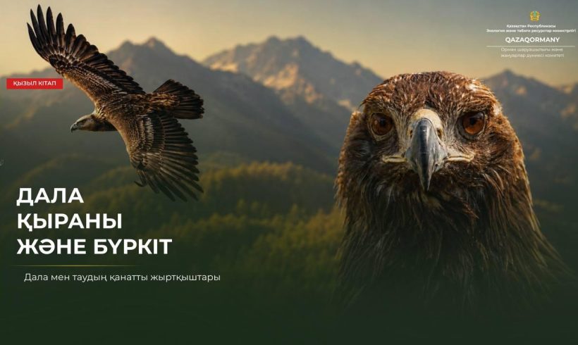 Аспан әміршілері: Дала қыраны мен бүркіт Аспан әміршілері: Дала қыраны мен бүркіт